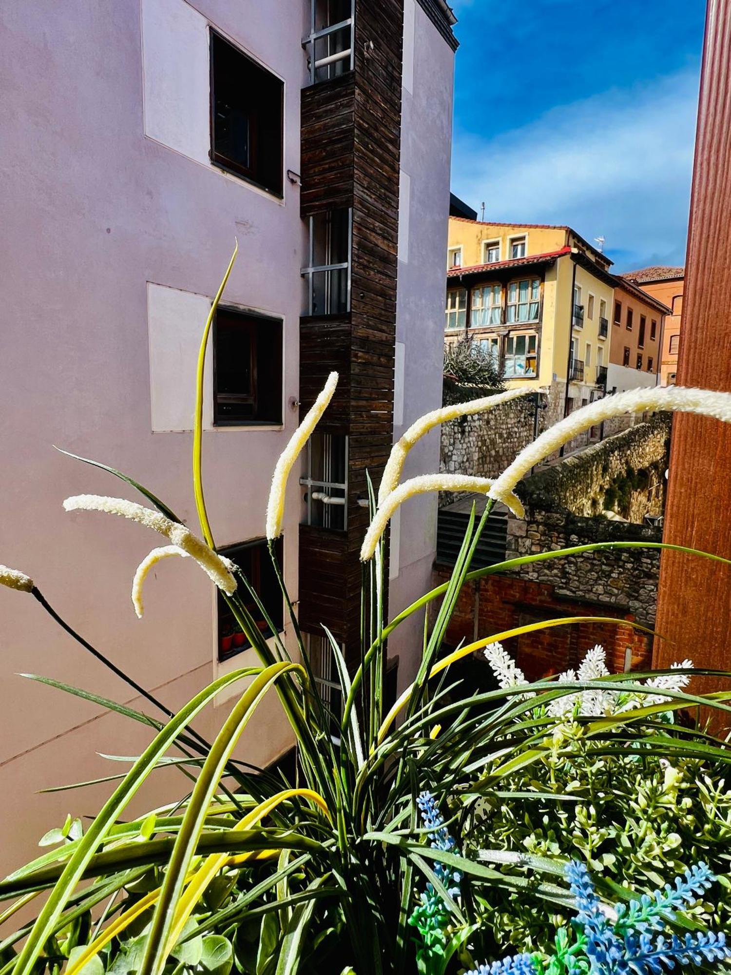 El Capricho De Claudia_ Apartamentos Burgos Catedral Zewnętrze zdjęcie